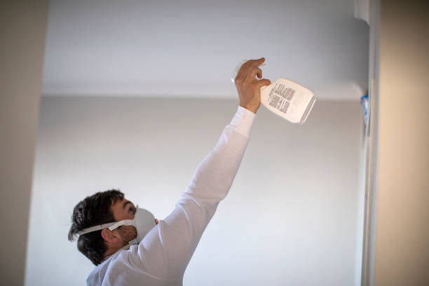 Best Home Mold Removal  in New Brighton, MN