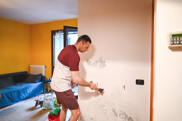 Mold Removal Process in New Brighton, MN